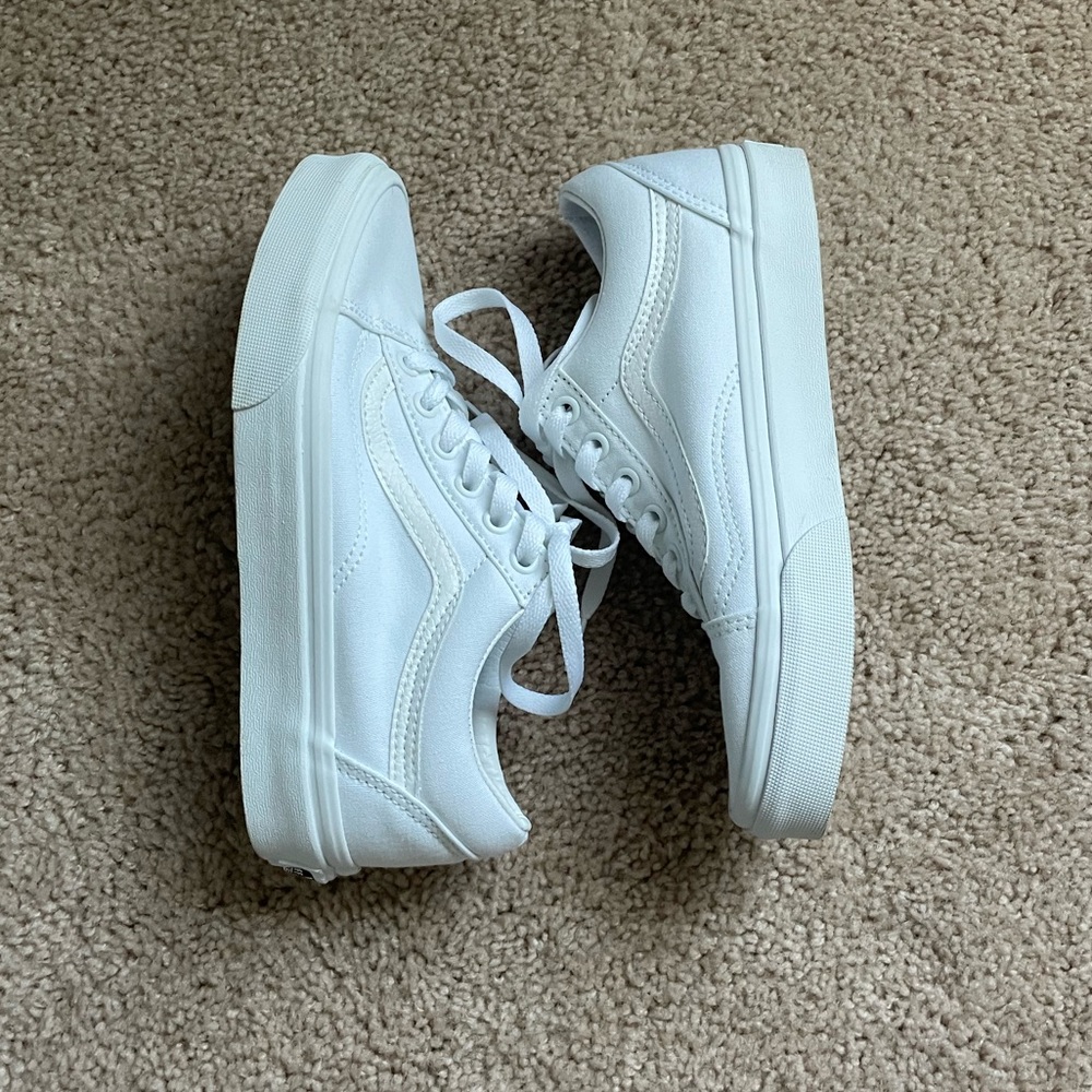 Vans Canvas Old Skool Shoes